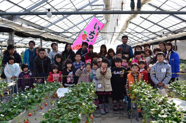 2013年2月寒河江観光いちご園にて