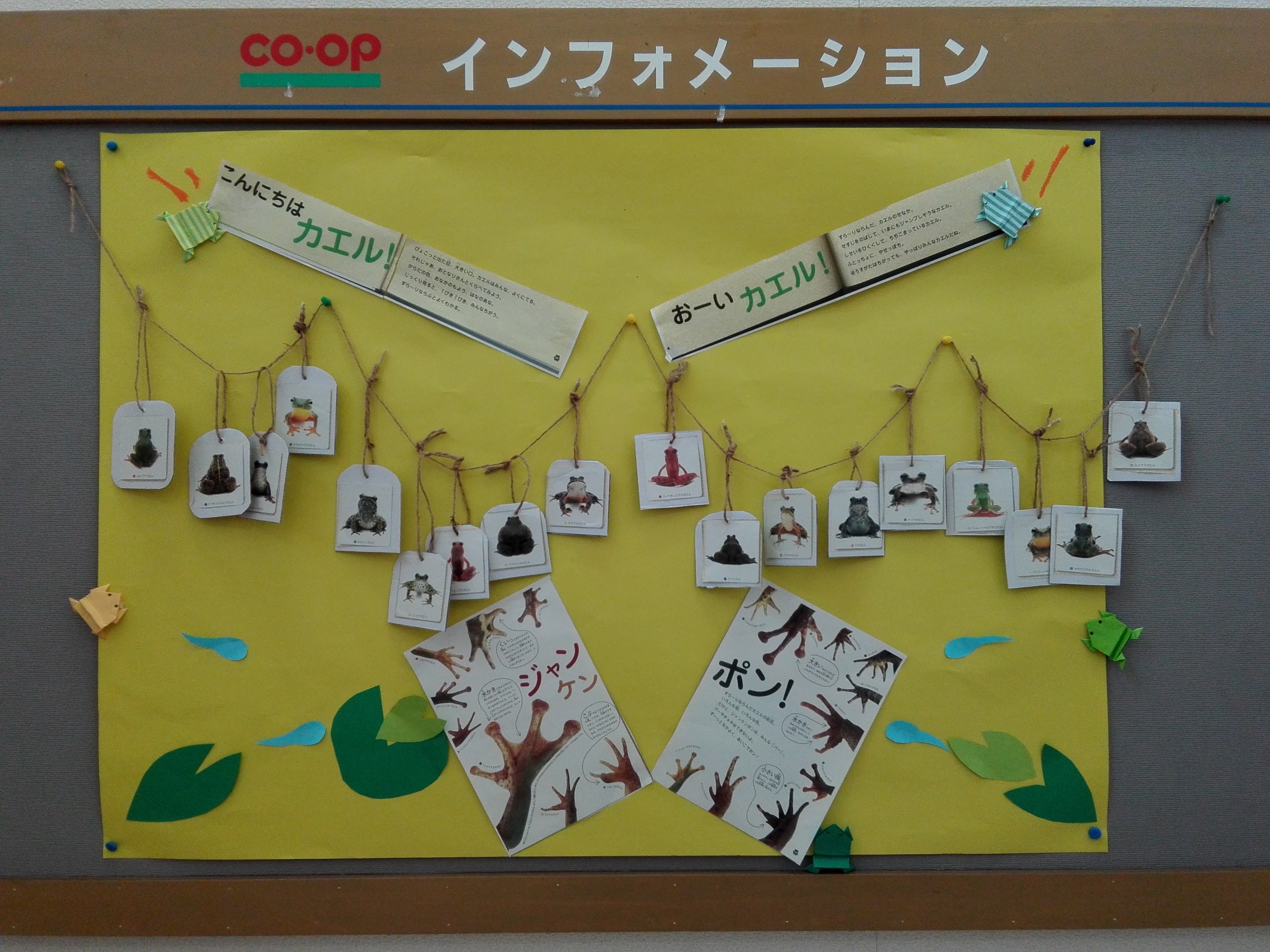 コープひがしはらの いろんなカエル あなたの癒しのひとときに なればいいな お知らせ 組合員活動 Coop 生活協同組合 共立社