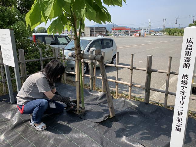 雑草が抜いても抜いても生えてくるので、防草シート敷きました