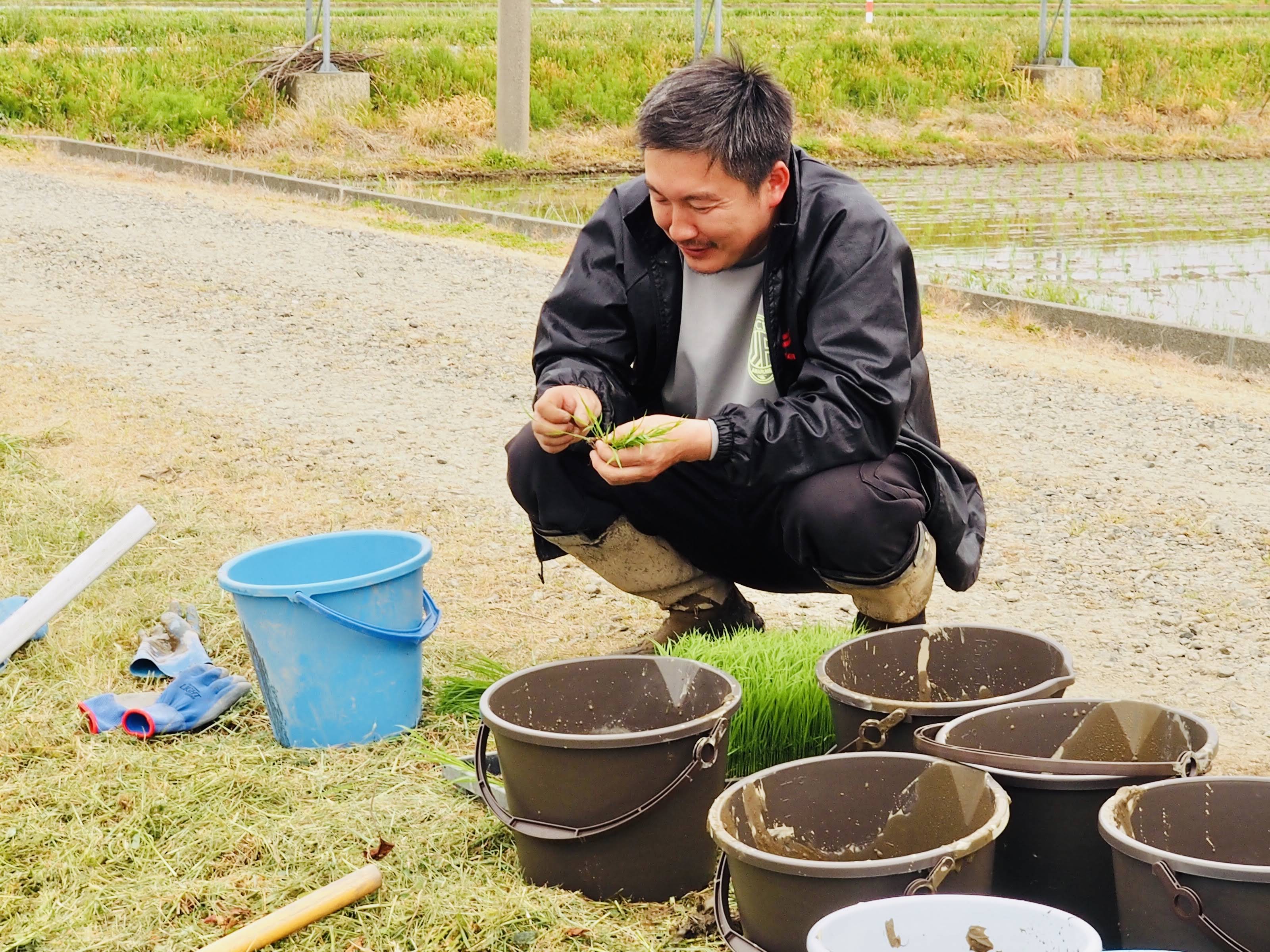 Jaあまるめ 共立社提携 米作り体験 田植え作業 バケツ稲 報告 お知らせ 組合員活動 Coop 生活協同組合 共立社