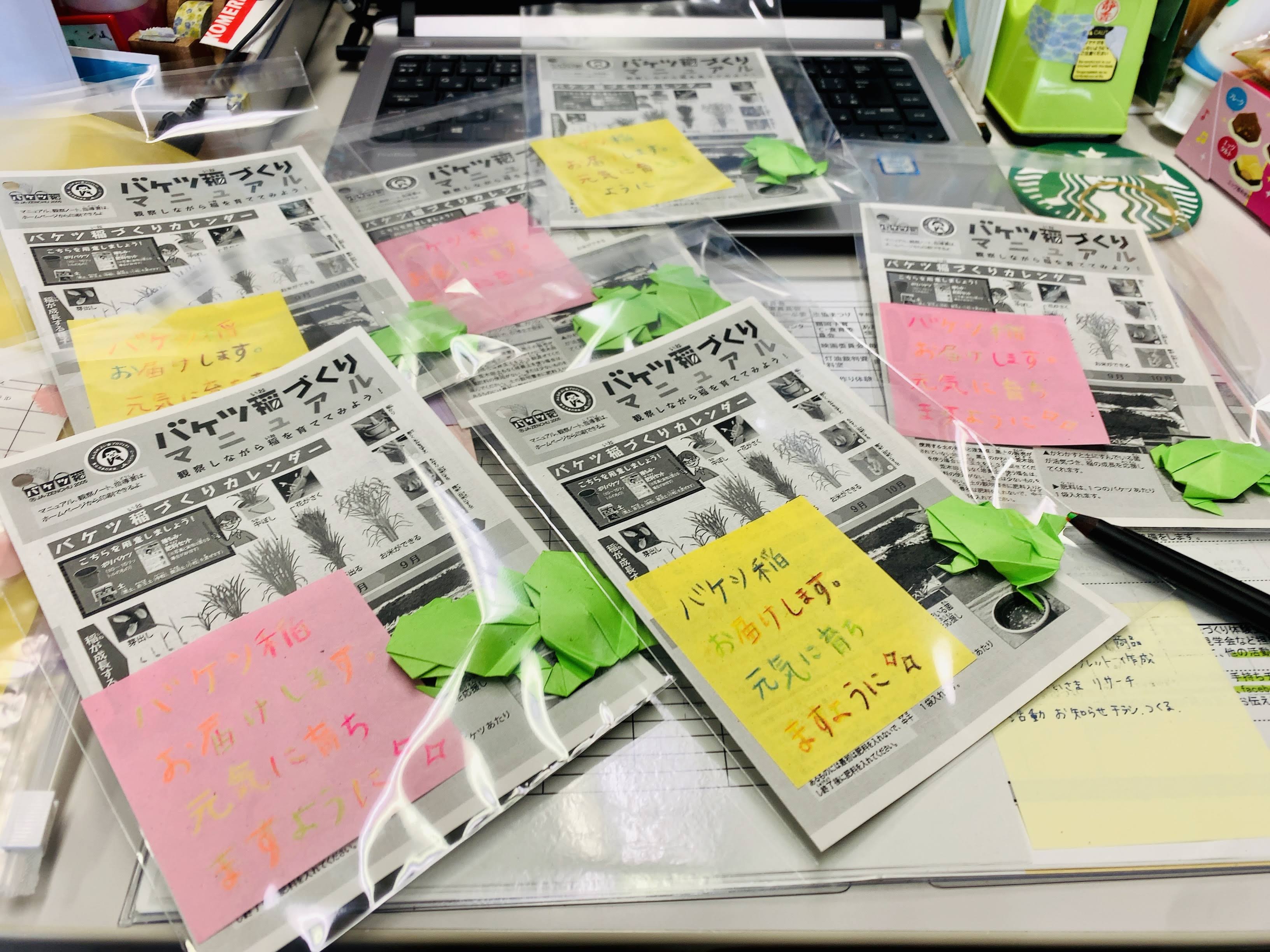 Jaあまるめ 共立社提携 米作り体験 田植え作業 バケツ稲 報告 お知らせ 組合員活動 Coop 生活協同組合 共立社