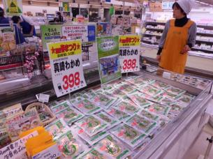 復活した田老の「真崎わかめ」