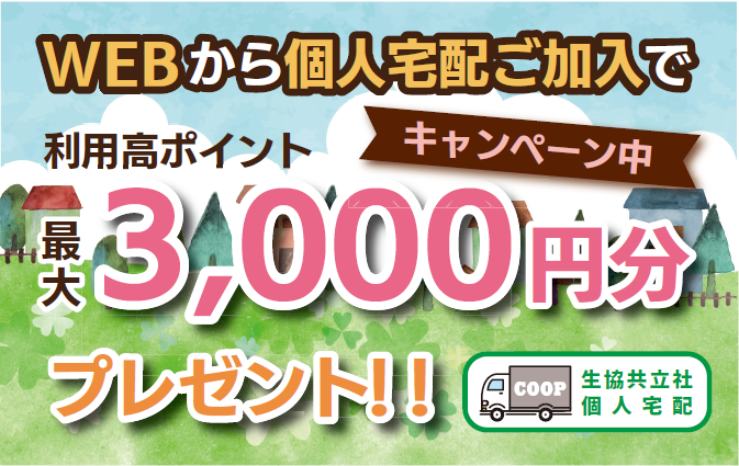 Web加入で3000Pプレゼント